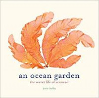 An ocean garden : the secret life of seaweed
