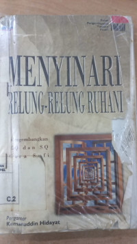Menyinari relung-relung Ruhani:  mengembangkan EQ dan SQ cara sufi